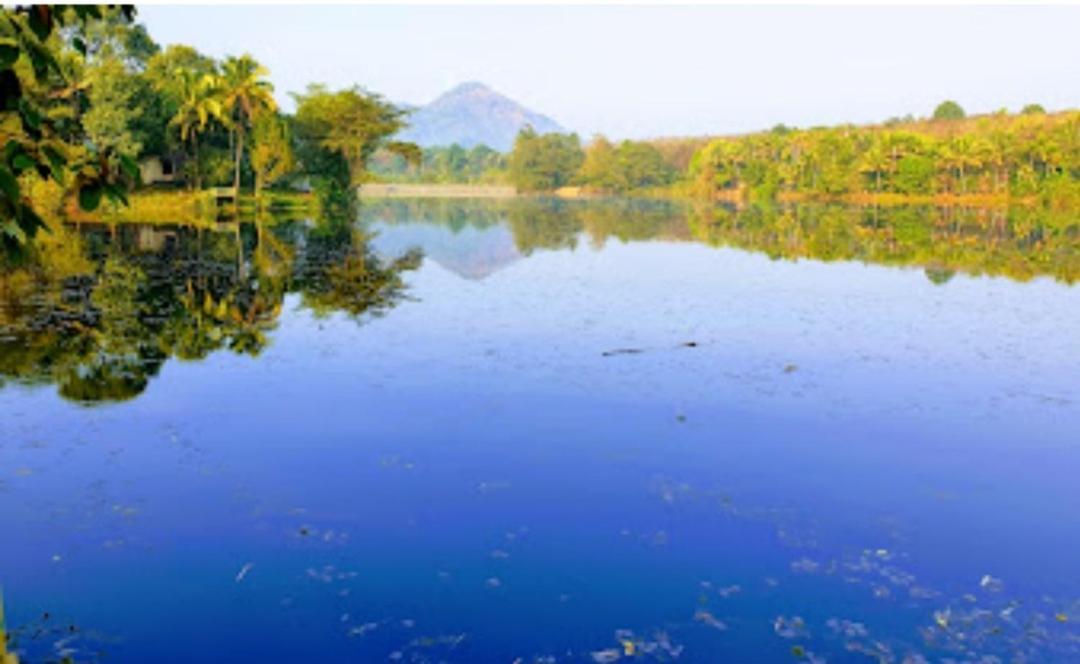 Sparrow Vale Resort Kotamangalam Exteriör bild