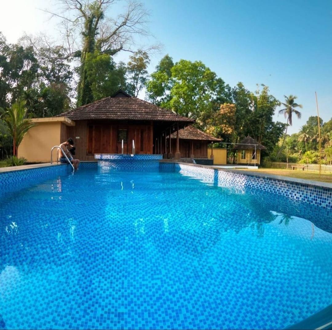 Sparrow Vale Resort Kotamangalam Exteriör bild